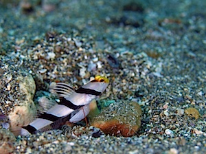 P6050084.JPG P6050084.JPG