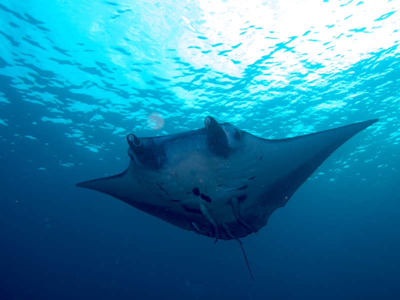 PB105183.jpg PB105183