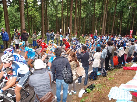 2010ジャパンカップ