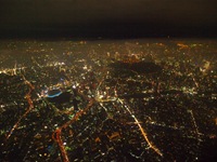 東京ナイトクルージング