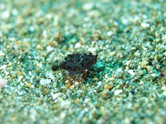 ウミテング@黄金崎 ウミテング@黄金崎