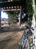 阿蘇神社