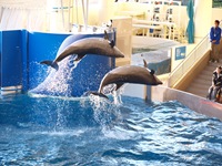 新江ノ島水族館