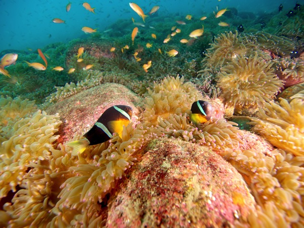 PC155233.jpg PC155233