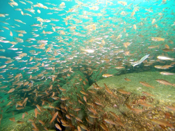 PC155244.jpg PC155244