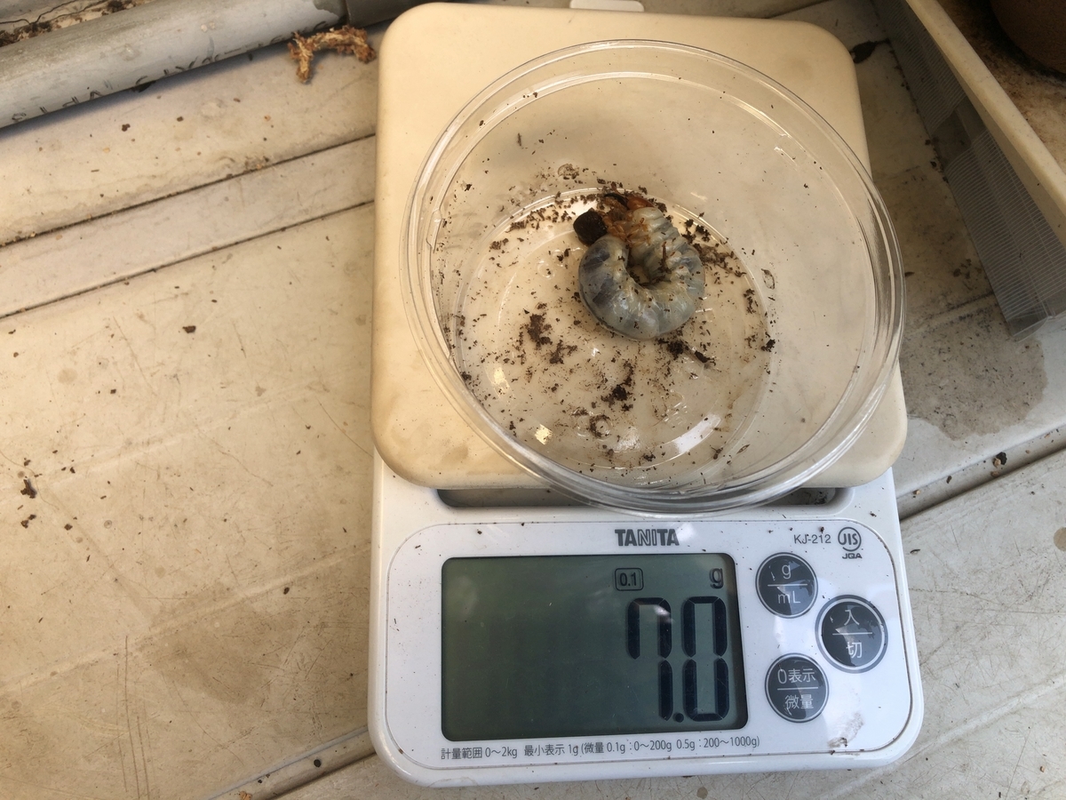 f:id:miyamaoyajikun:20210613035228j:plain