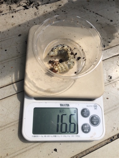 f:id:miyamaoyajikun:20210614052242j:image f:id:miyamaoyajikun:20210614052242j:image