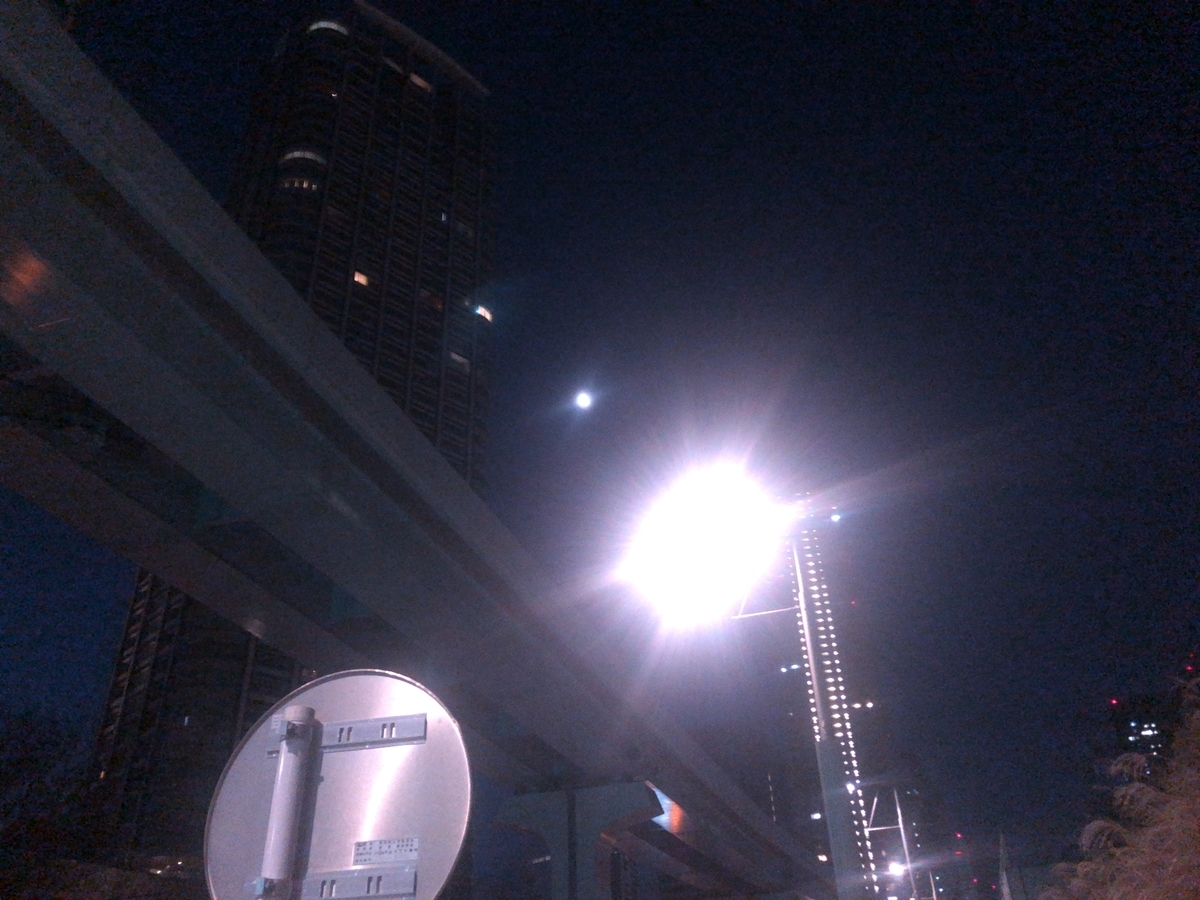 f:id:miyamaoyajikun:20220128194316j:plain