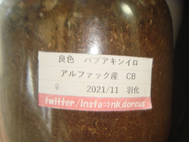 f:id:miyamaoyajikun:20220128204742j:plain