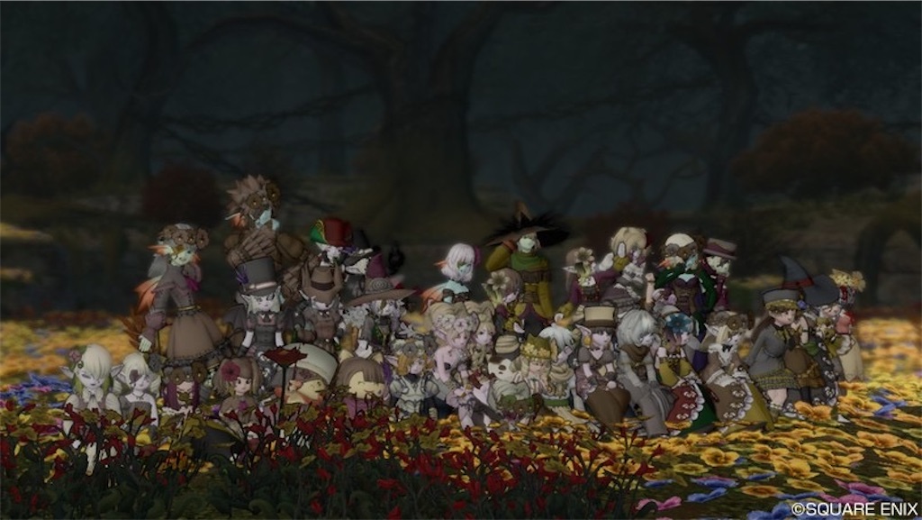 f:id:miyamaridqx:20220216235013j:image f:id:miyamaridqx:20220216235013j:image