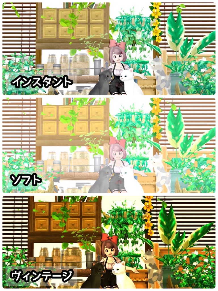 f:id:miyamaridqx:20220217201348j:image f:id:miyamaridqx:20220217201348j:image