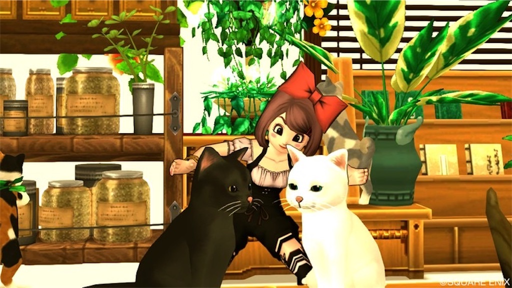 f:id:miyamaridqx:20220217201741j:image f:id:miyamaridqx:20220217201741j:image