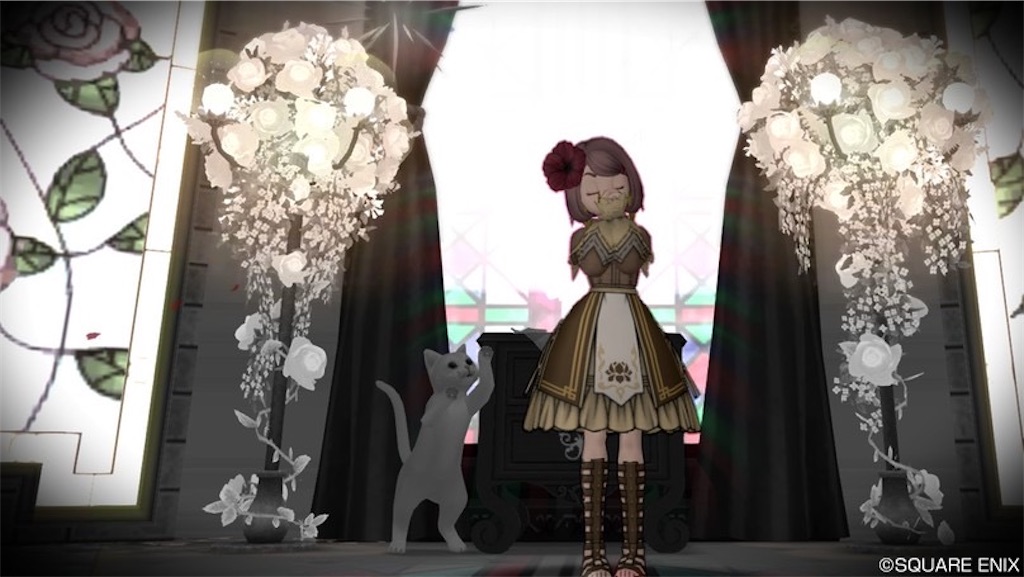 f:id:miyamaridqx:20220220123755j:image f:id:miyamaridqx:20220220123755j:image