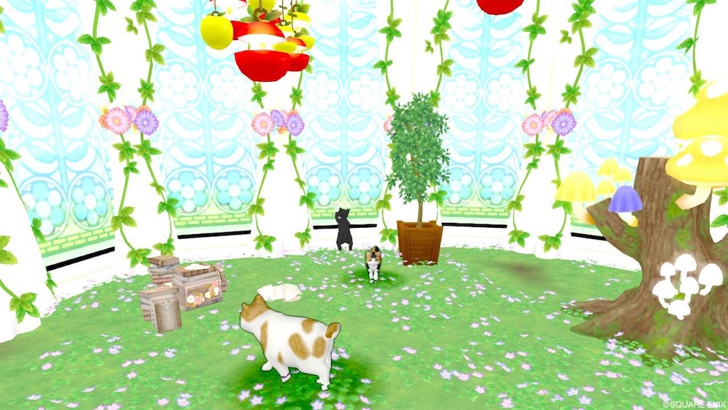 f:id:miyamaridqx:20220825021314j:image