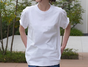 骨格診断 シンプルな無地のtシャツにいくら出せますか たにまのひめゆり