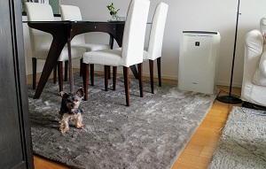 f:id:miyamarin:20180512163224j:plain