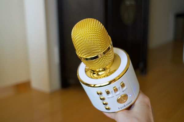 おうち時間 家庭用カラオケマイク 森星さんも愛用 たにまのひめゆり おうち時間 家庭用カラオケマイク 森星さんも愛用 たにまのひめゆり