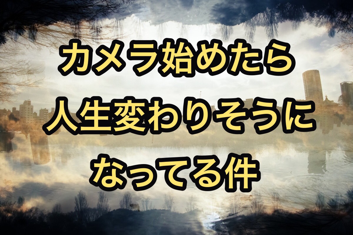 f:id:miyamaroom:20190603210436j:plain