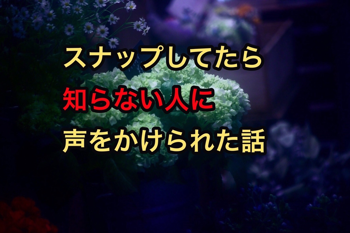 f:id:miyamaroom:20190604214527j:plain