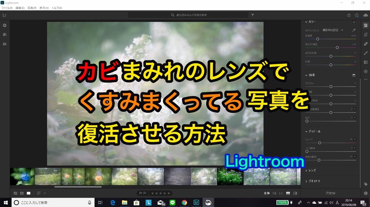 f:id:miyamaroom:20190608210126j:plain