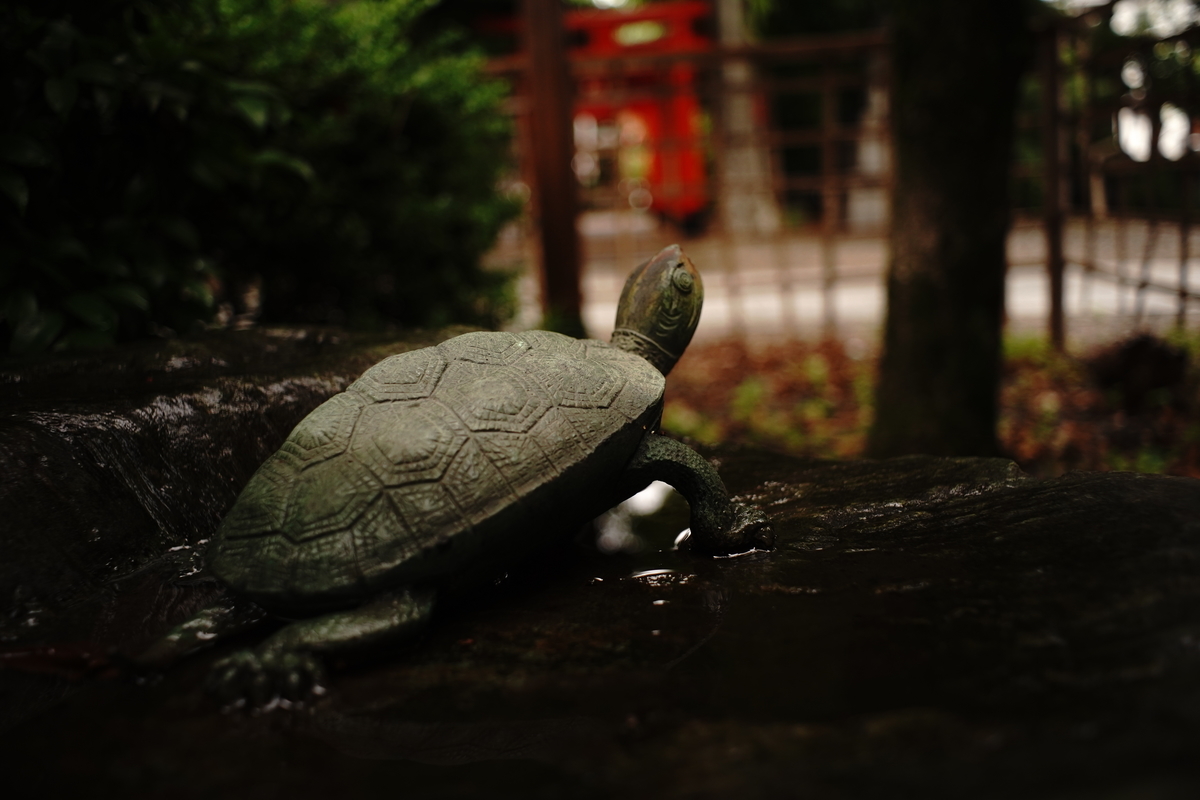 f:id:miyamaroom:20190611195601j:plain