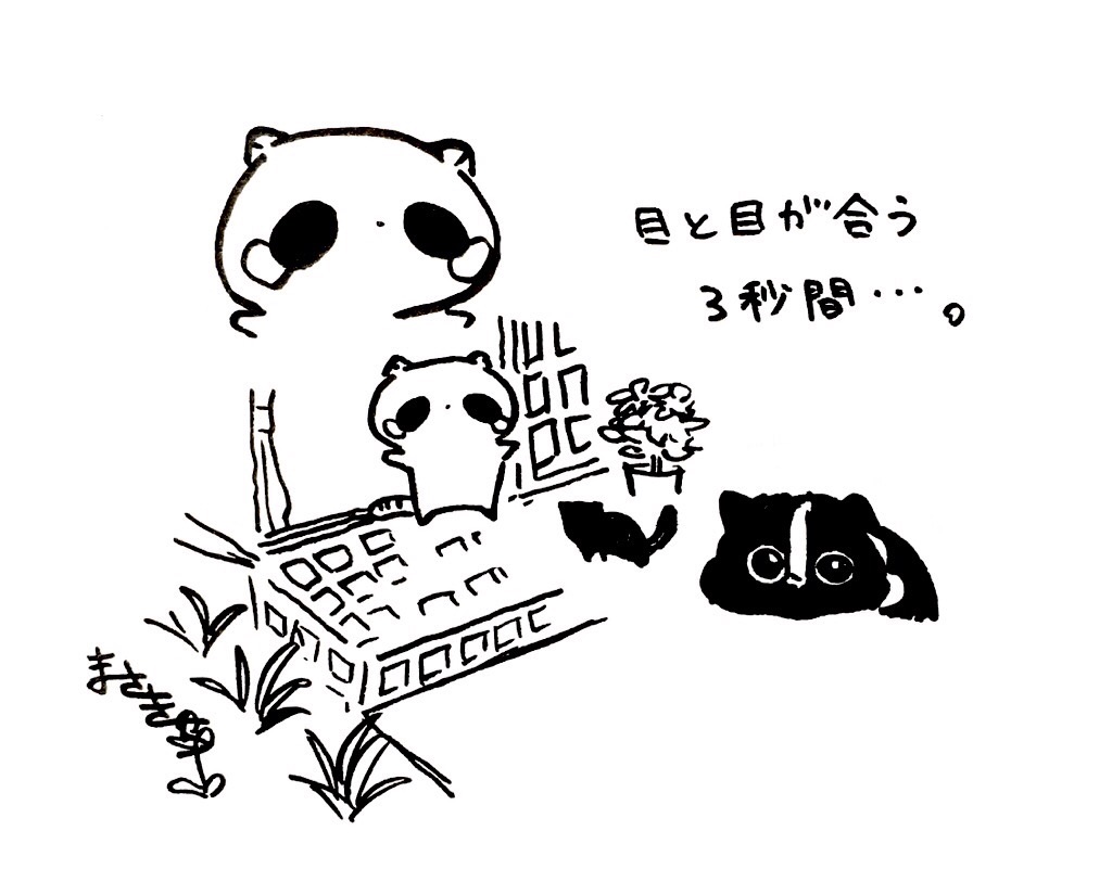 f:id:miyamasaki:20170816024915j:image f:id:miyamasaki:20170816024915j:image