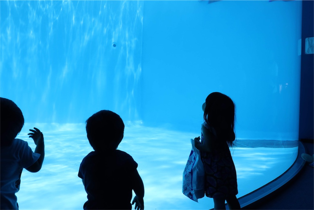 3歳児と5ヶ月児の名古屋港水族館 - MiyaのSmile Days・∨・