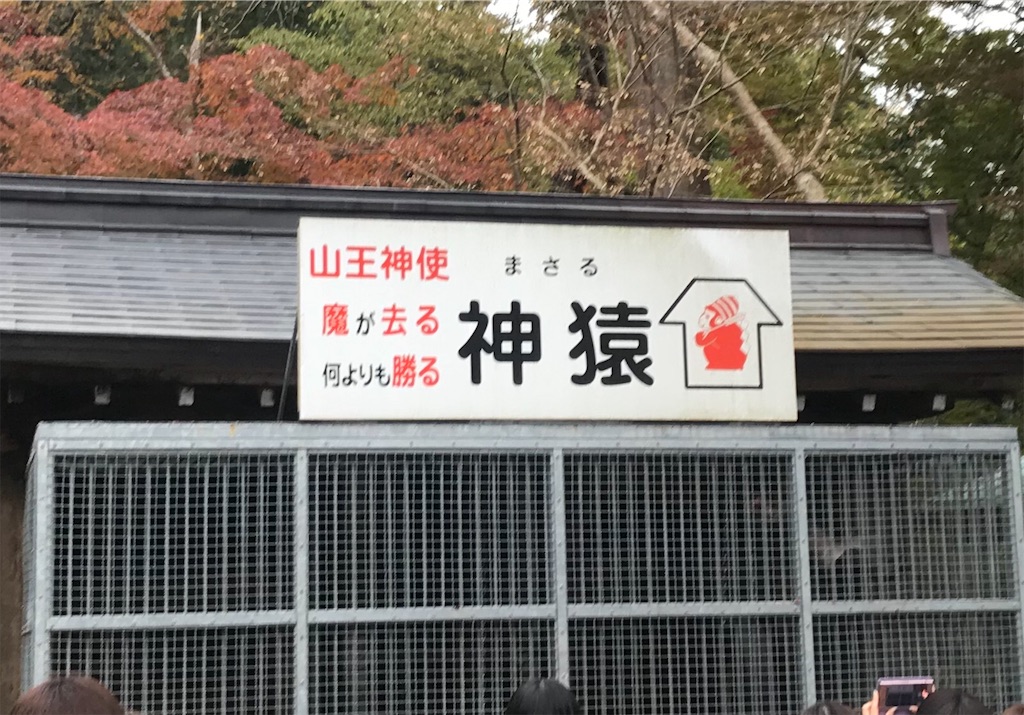 f:id:miyanaka116:20191209121111j:image