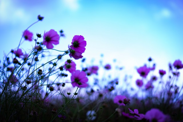 f:id:miyanok:20191215013720j:image f:id:miyanok:20191215013720j:image