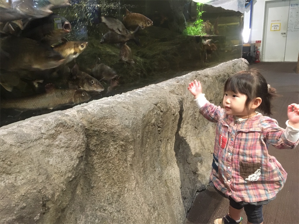 f:id:miyanotakashi:20180416073603j:image f:id:miyanotakashi:20180416073603j:image