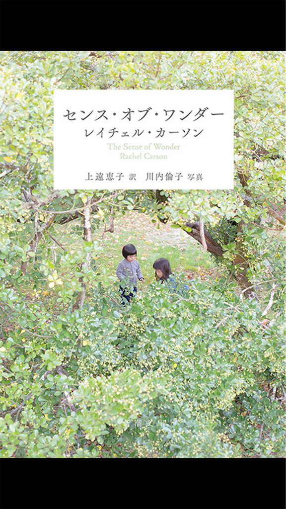 f:id:miyanotakashi:20240514055537p:image