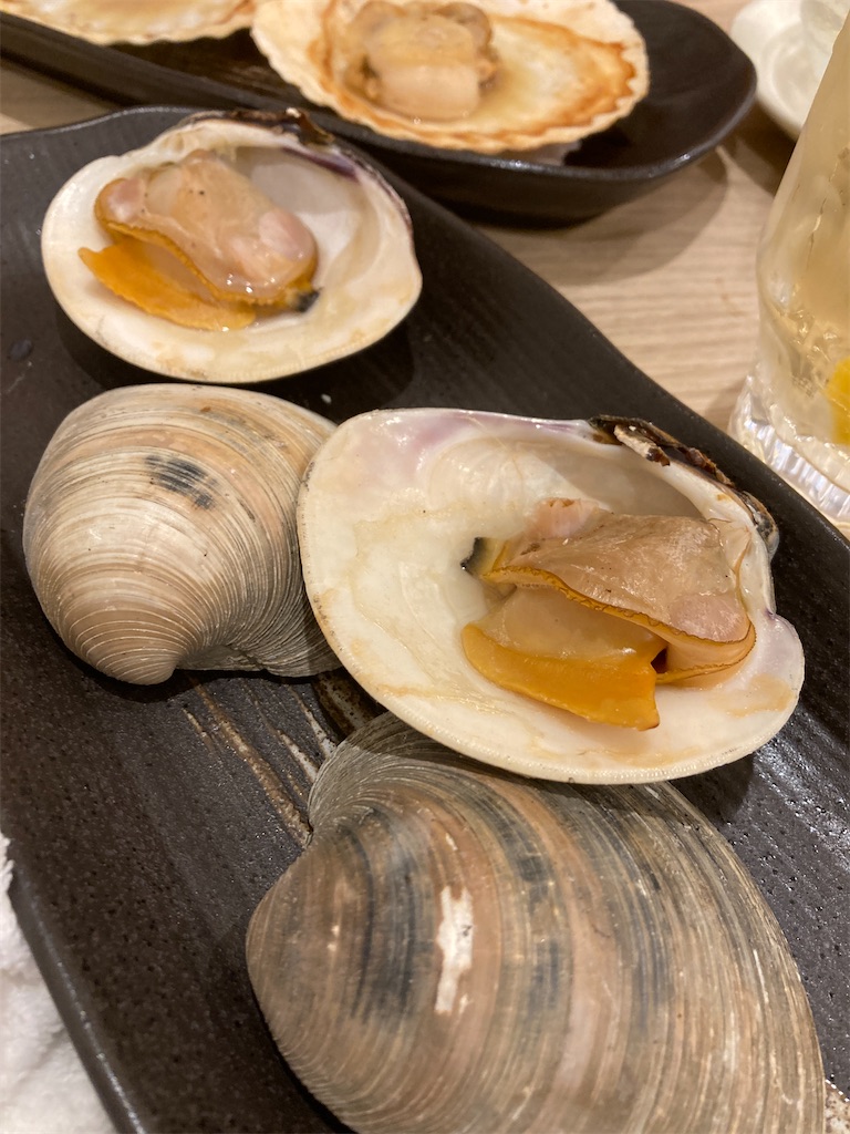 f:id:miyanotakashi:20240919103235j:image