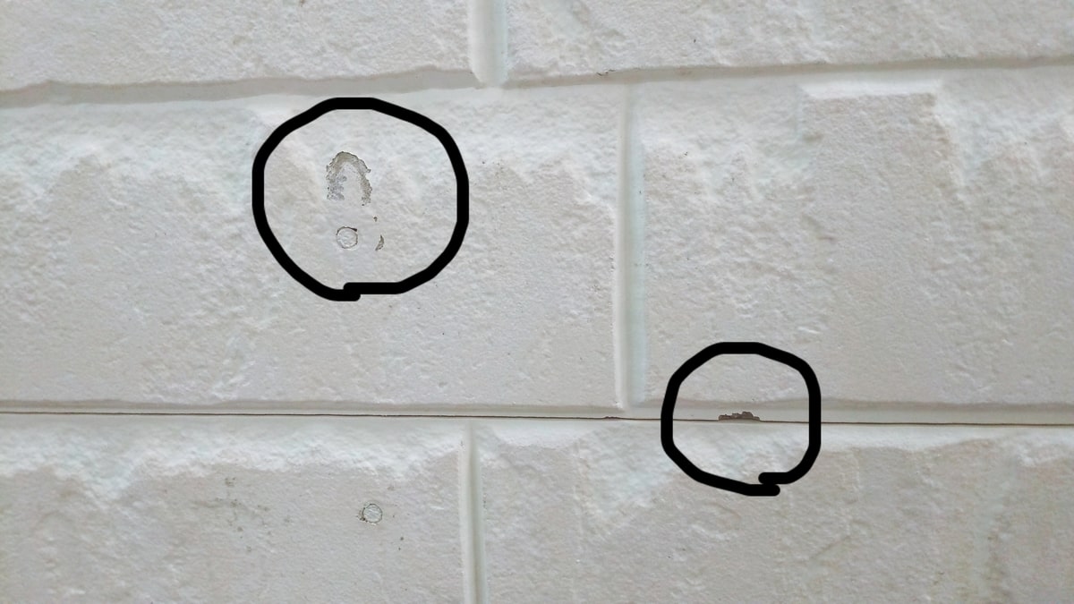 f:id:miyarock:20191116012616j:plain