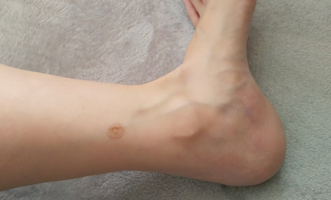 f:id:miyarock:20191120232703j:plain