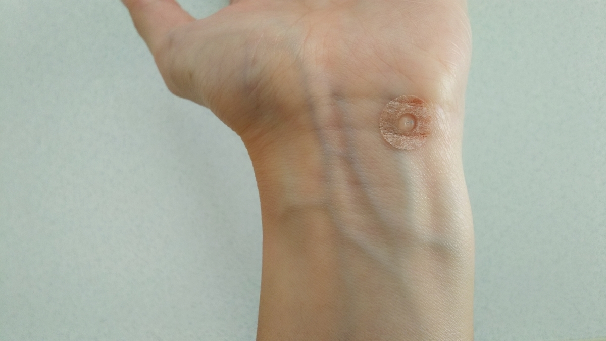 f:id:miyarock:20191120232723j:plain