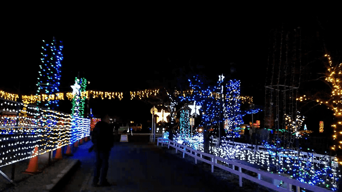 f:id:miyarock:20191224172708p:plain