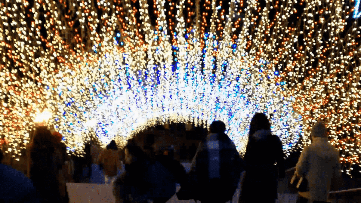 f:id:miyarock:20191224172816p:plain