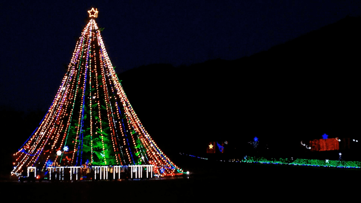 f:id:miyarock:20191224172848p:plain