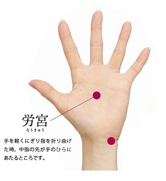 f:id:miyarock:20210304211847j:plain