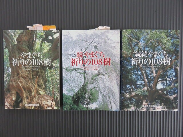 山口県の巨樹巡り－Vol3（ 3-① ～ ⑫ ） - 巨樹庵（山口県の巨樹巡礼）