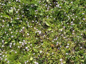 f:id:miyasakihiro:20170502145539j:plain f:id:miyasakihiro:20170502145539j:plain