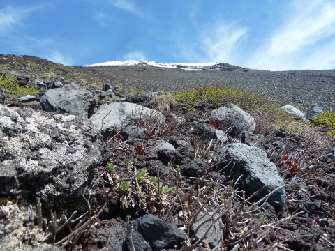 f:id:miyasakihiro:20170619103721j:plain f:id:miyasakihiro:20170619103721j:plain