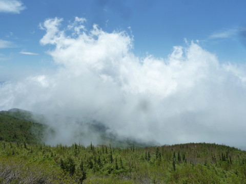 f:id:miyasakihiro:20170619112507j:plain f:id:miyasakihiro:20170619112507j:plain