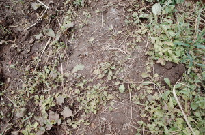 f:id:miyasakihiro:20171011124017j:plain