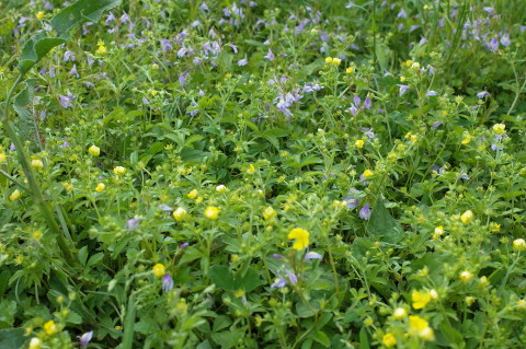 f:id:miyasakihiro:20180429174222j:plain f:id:miyasakihiro:20180429174222j:plain