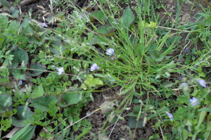 f:id:miyasakihiro:20180429174627j:plain