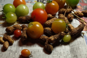 f:id:miyasakihiro:20181217183123j:plain f:id:miyasakihiro:20181217183123j:plain