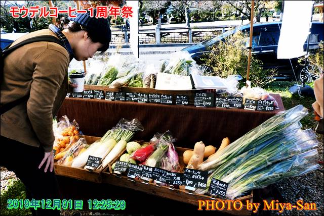 f:id:miyasankun:20191228061537j:plain