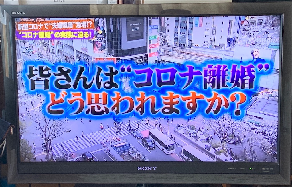 f:id:miyashita03nami08:20200412201221j:image