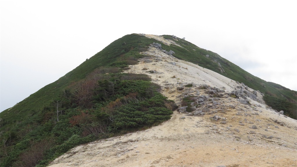 f:id:miyasukao:20241026211946j:image f:id:miyasukao:20241026211946j:image